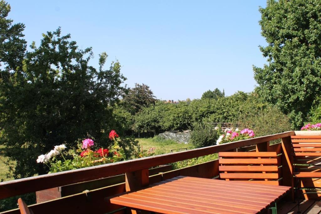 Dahmerhof Oda fotoğraf